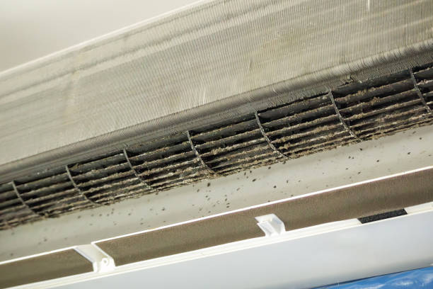 Best Duct Cleaning for Homes  in Snowmass Village, CO